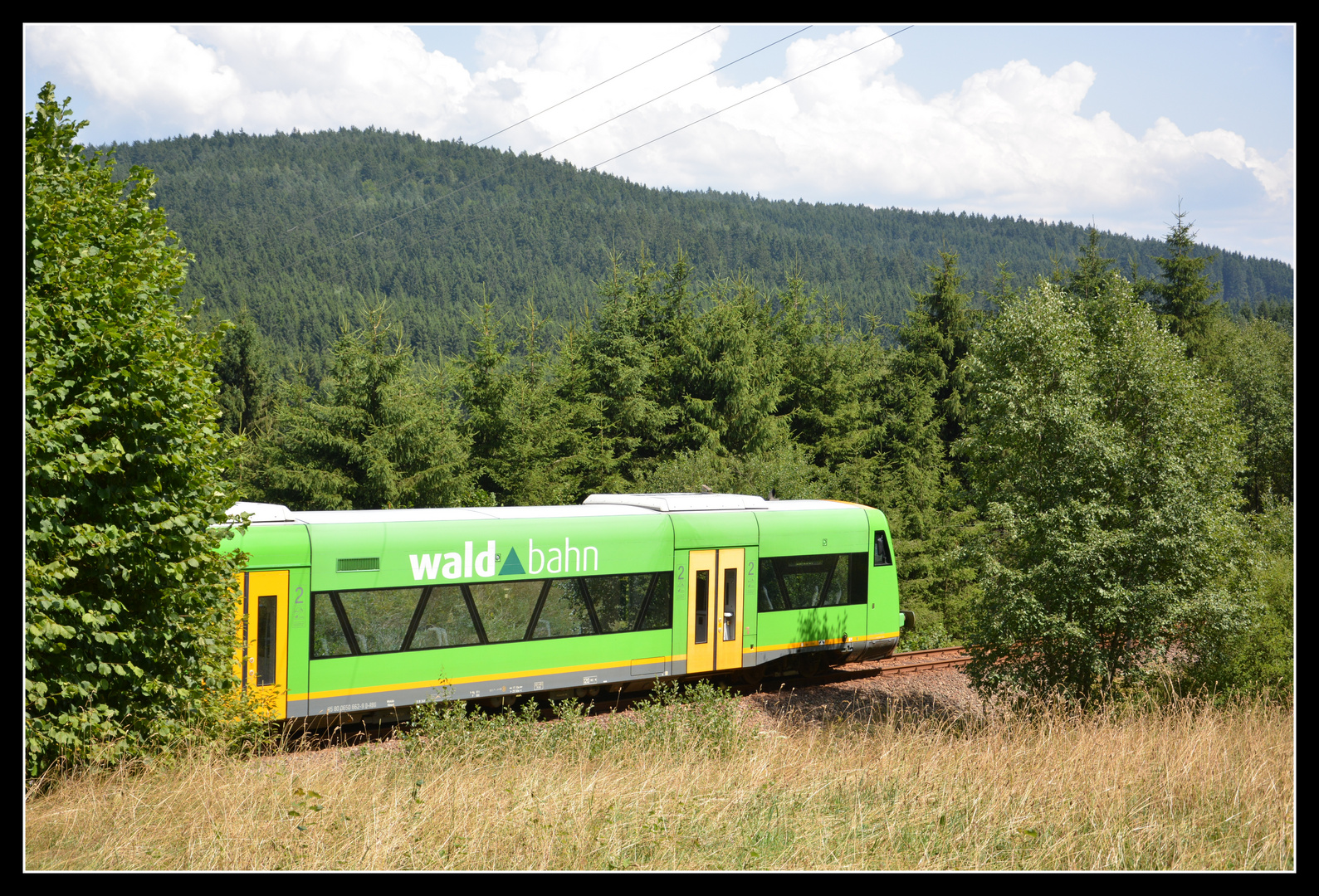 Waldbahn