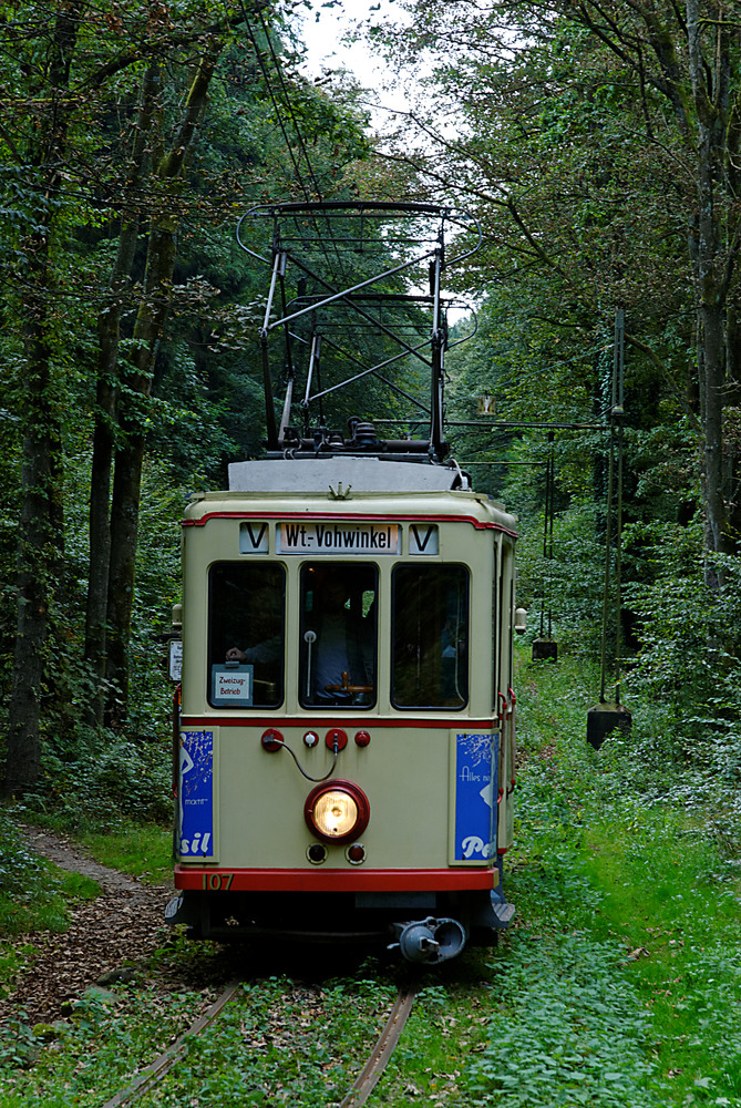 Waldbahn