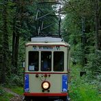 Waldbahn