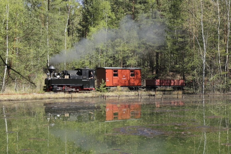 Waldbahn Bad Muskau