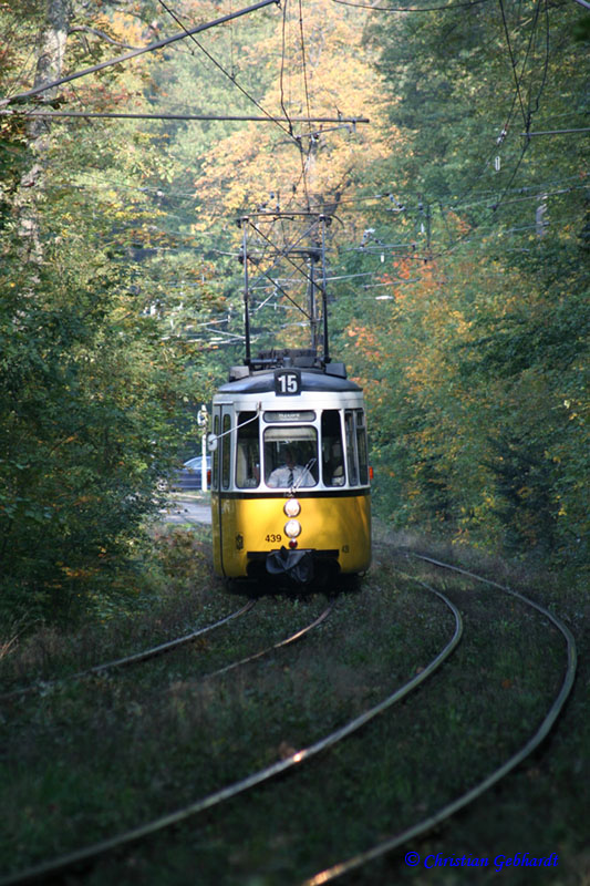 Waldbahn