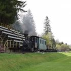 Waldbahn Cierny Balog  -2