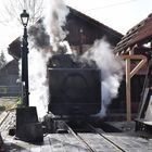 Waldbahn Cierny Balog  -4