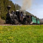 Waldbahn Cierny Balog