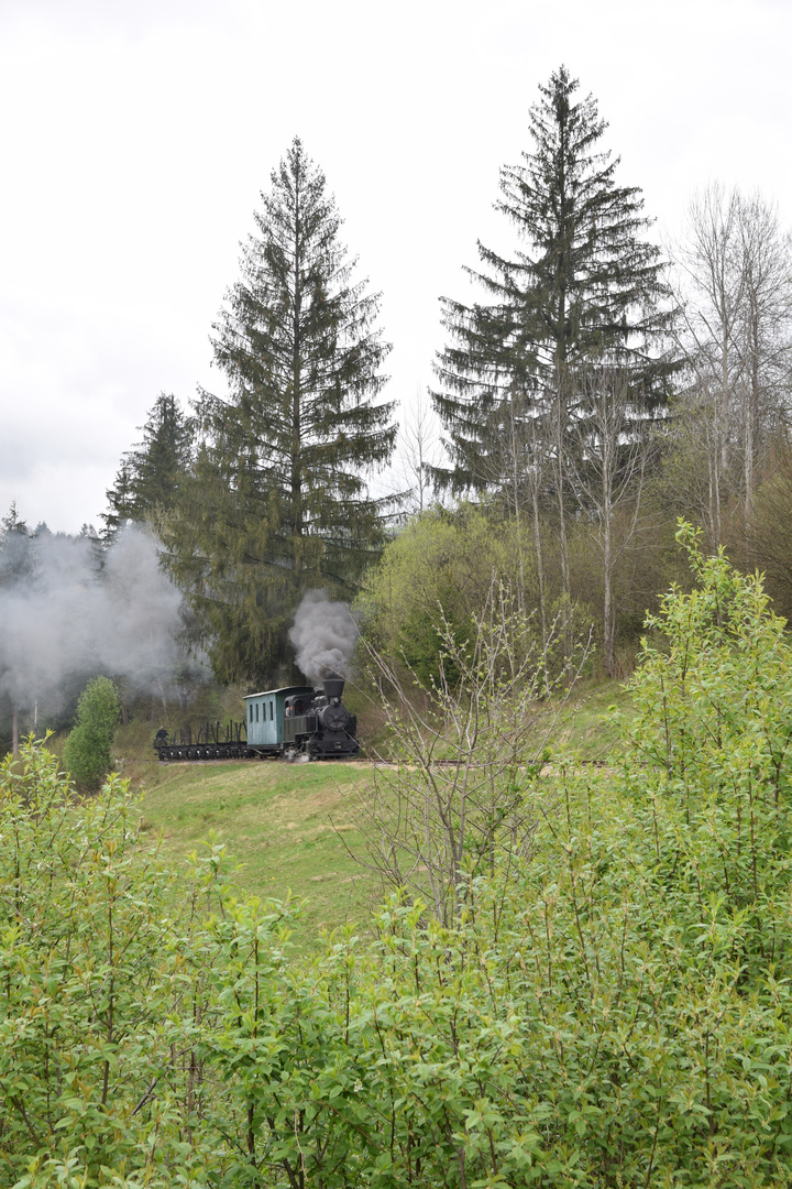 Waldbahn Cierny Balog  -7