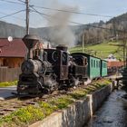 Waldbahn Cierny Balog