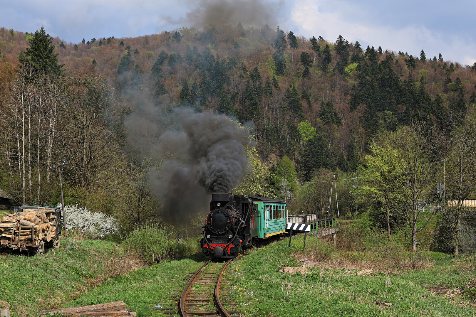 Waldbahn Cisna 01