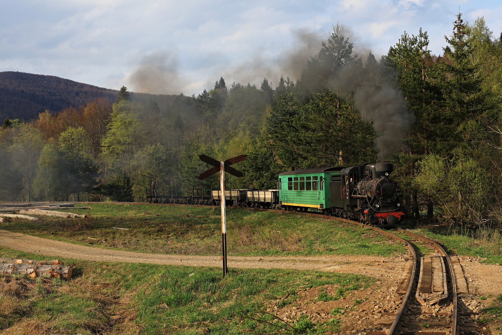 Waldbahn Cisna 02