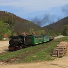 Waldbahn Cisna 03