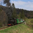 Waldbahn Cisna 04