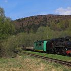 Waldbahn Cisna 05