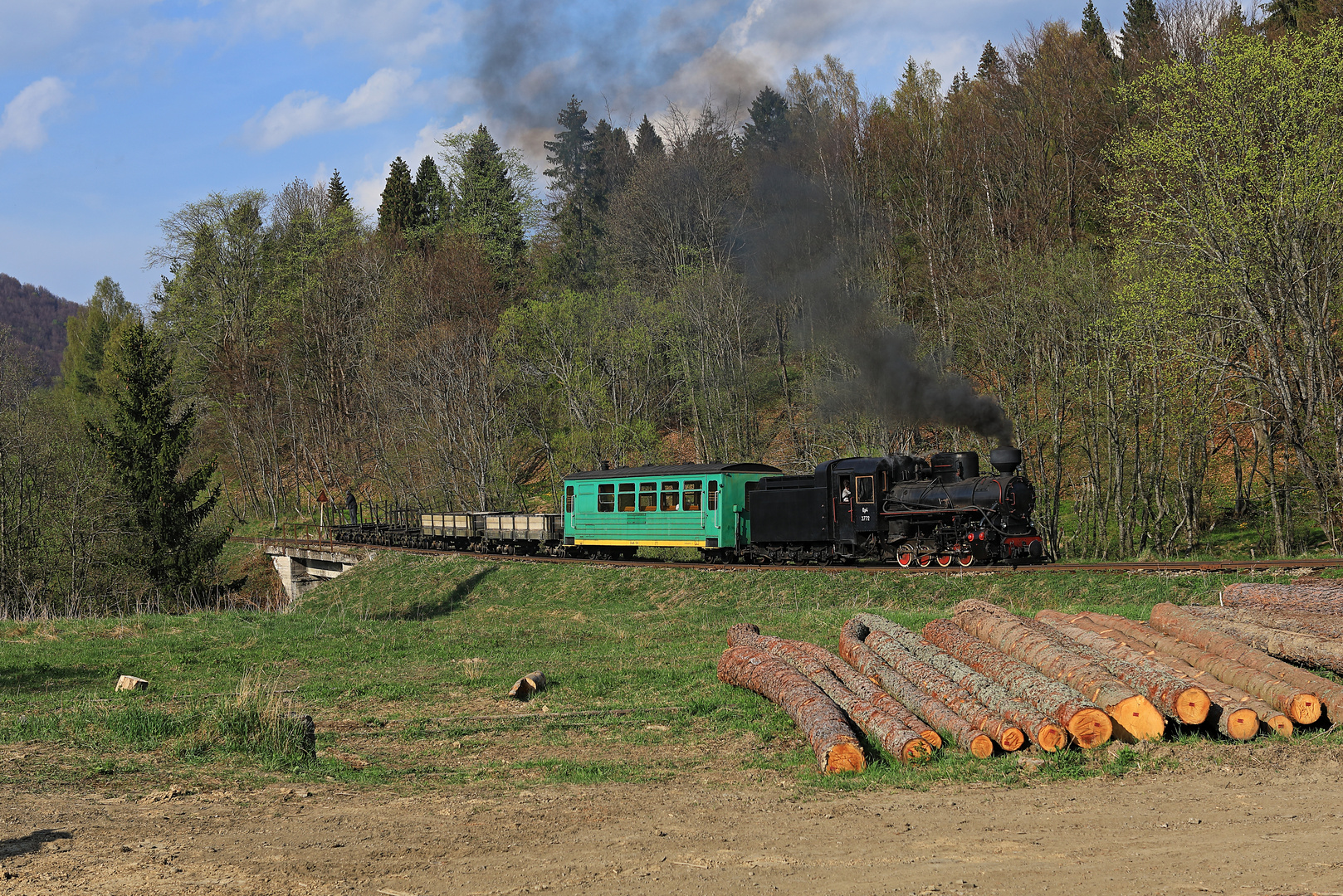 Waldbahn Cisna 06