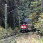 "Waldbahn"