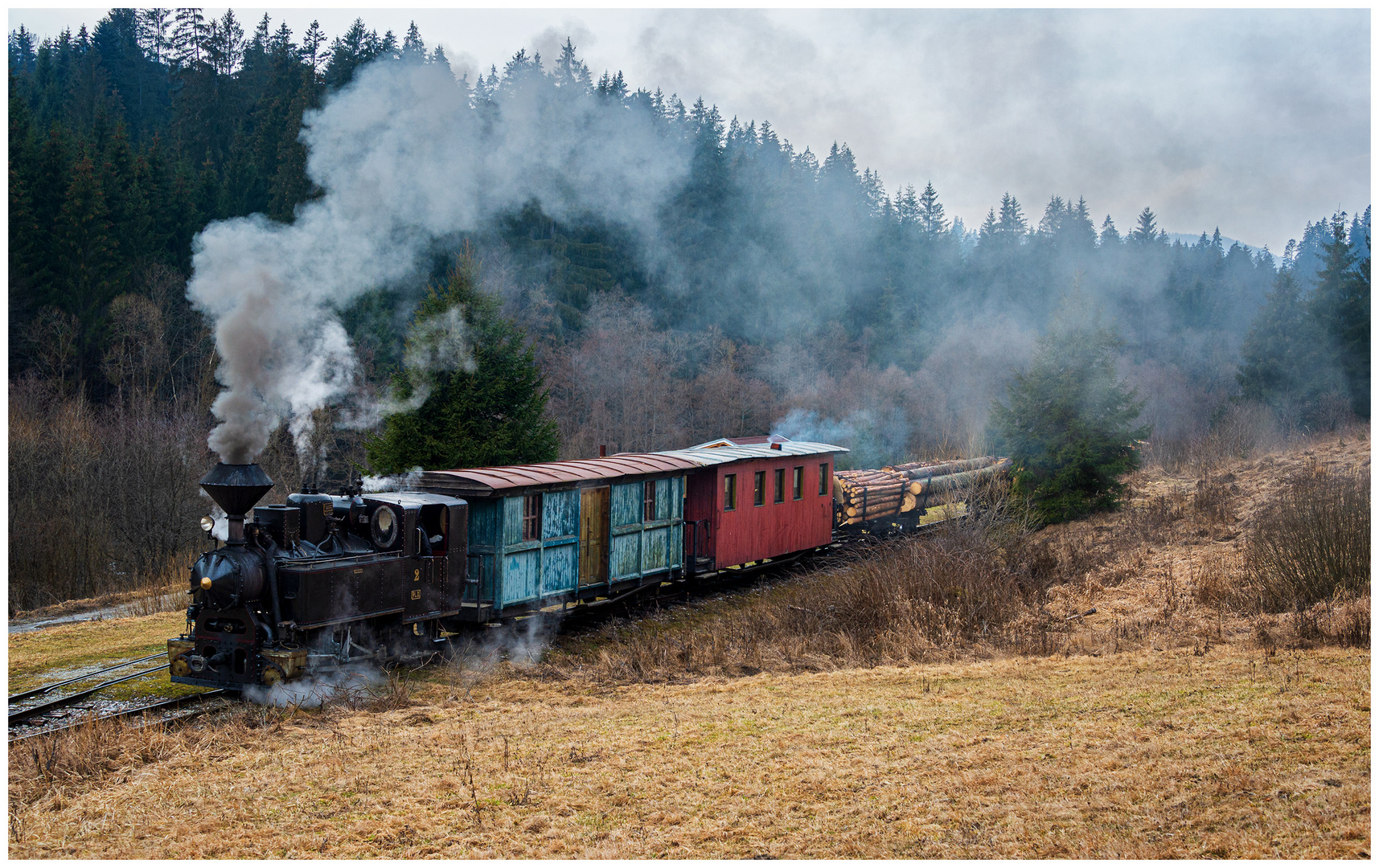 Waldbahn-Idylle