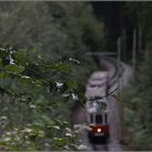 Waldbahn II
