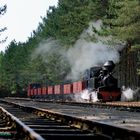 Waldbahn III; Übergabebahnhof Mühlrose