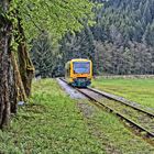 Waldbahn im Anrollen