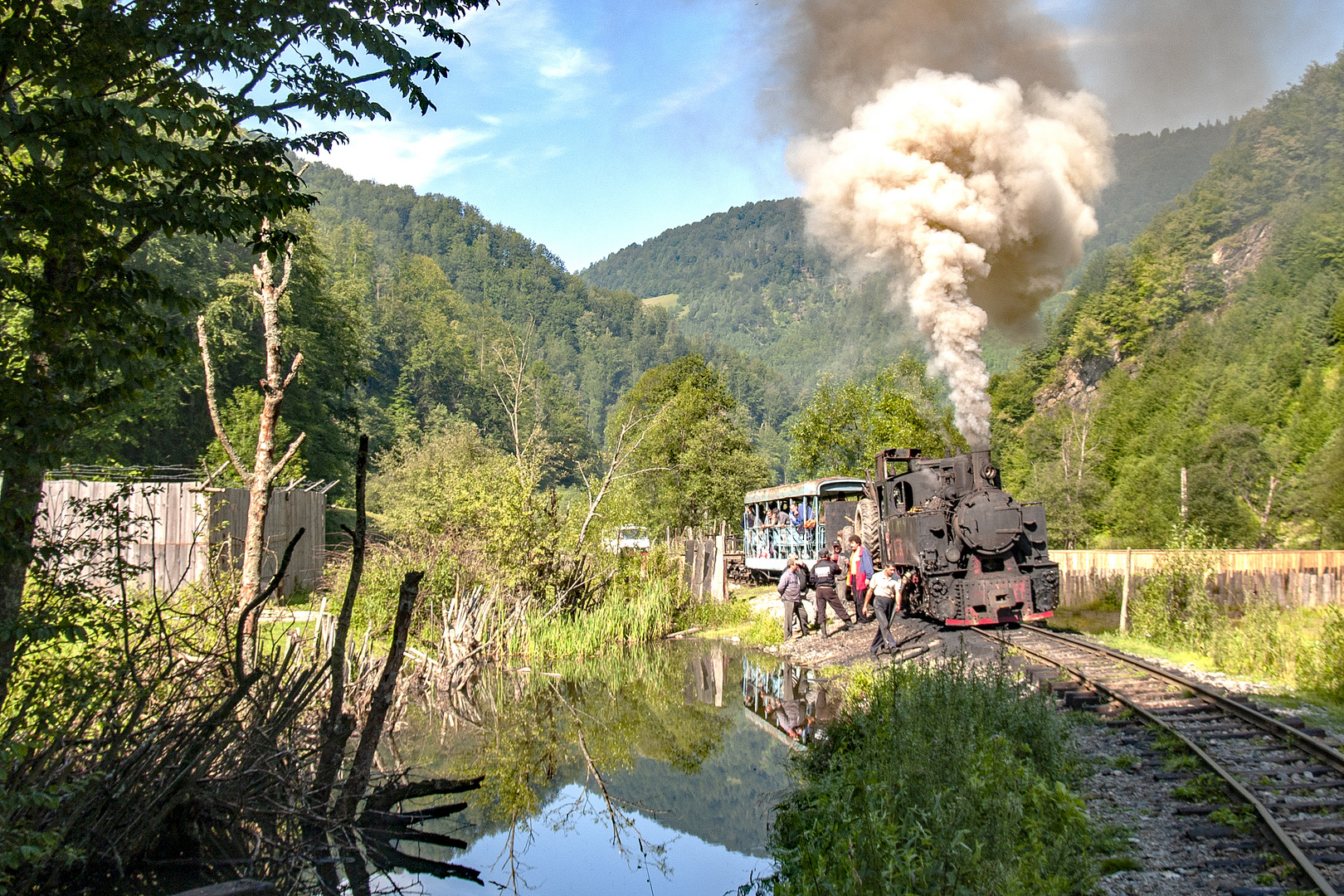 Waldbahn im Wassertal, Rumänien