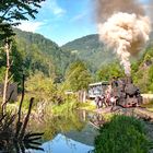 Waldbahn im Wassertal, Rumänien