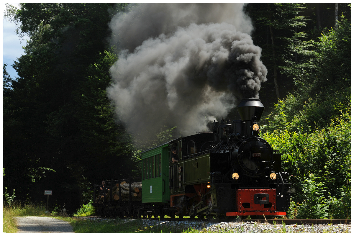 Waldbahn in der Steiermark.