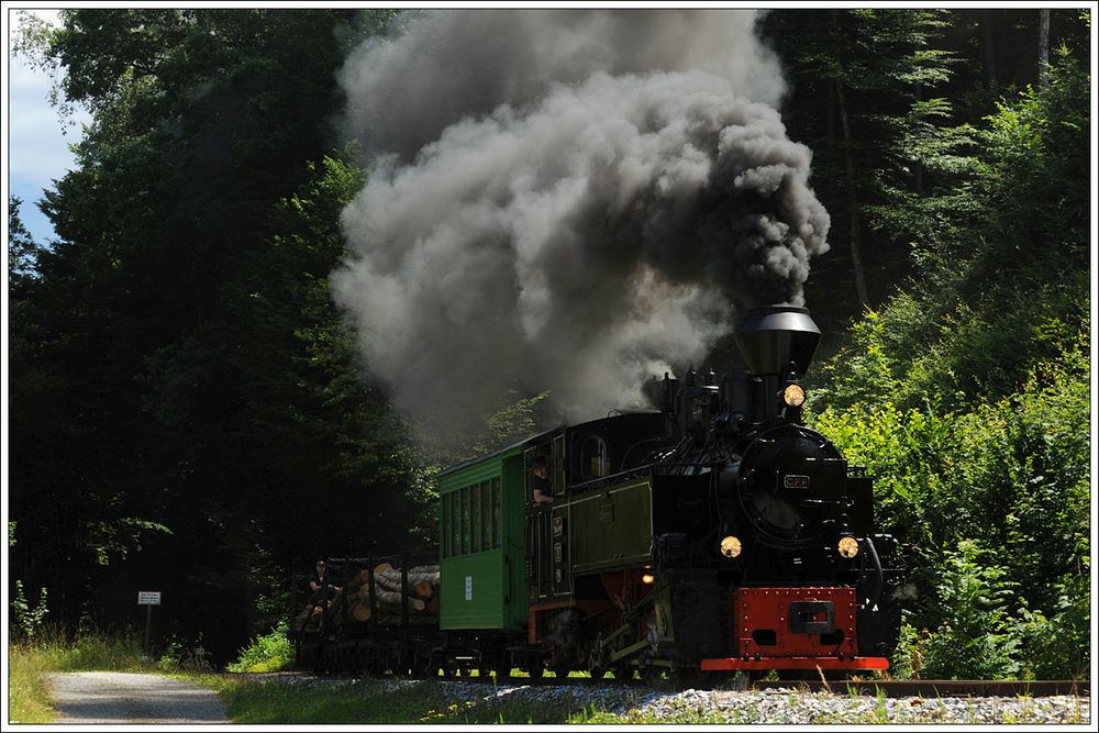 Waldbahn in der Steiermark.