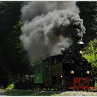 Waldbahn in der Steiermark.