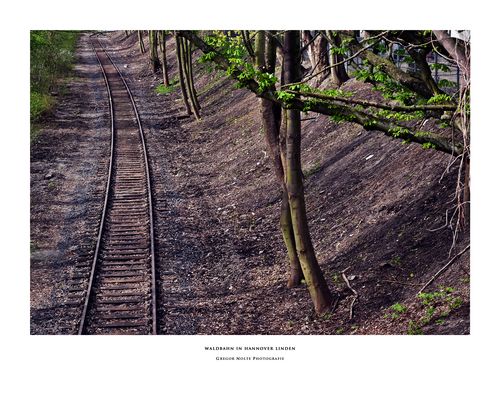 Waldbahn in Hannover Linden