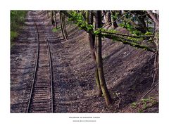 Waldbahn in Hannover Linden