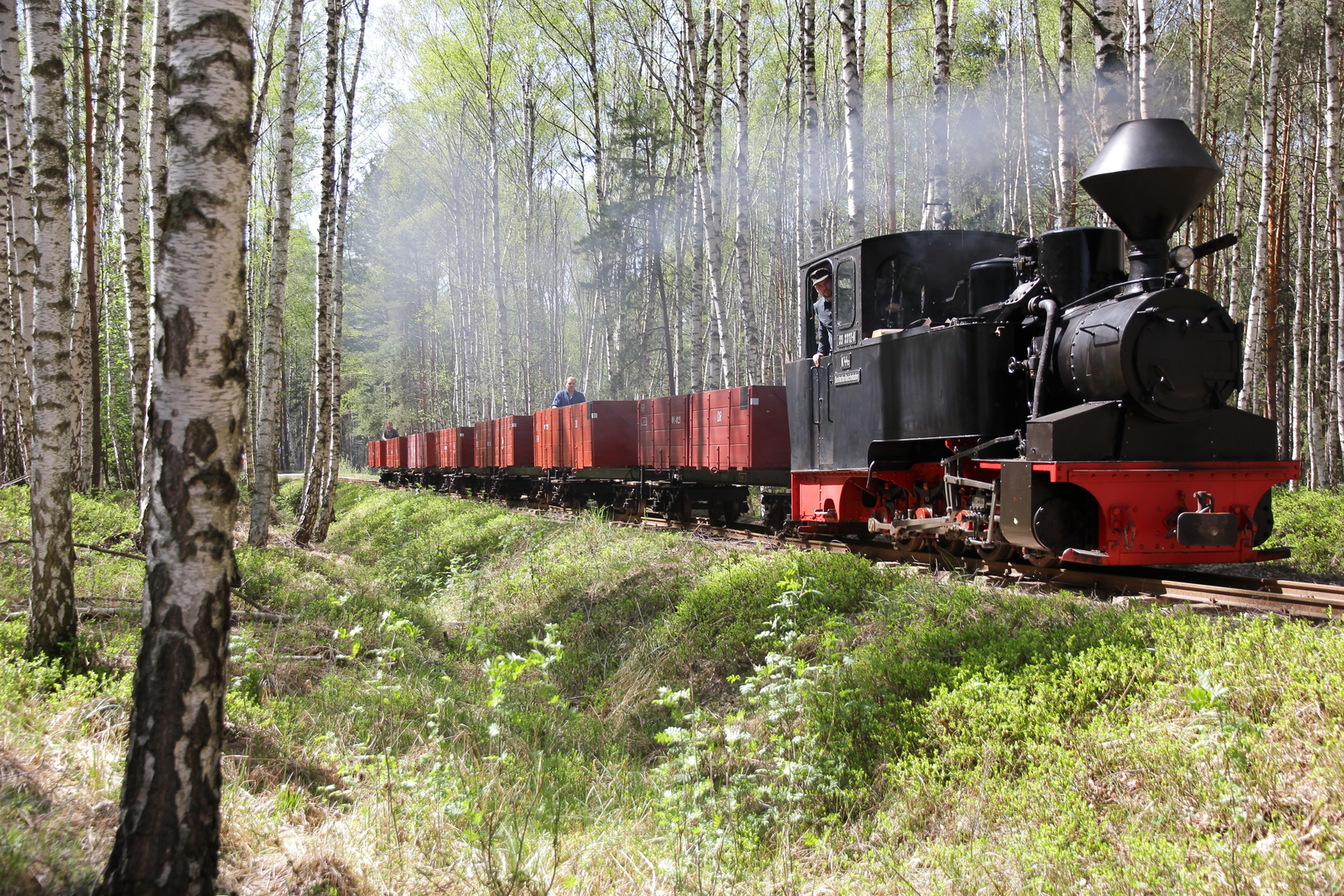 Waldbahn in Weisswasser