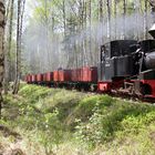 Waldbahn in Weisswasser