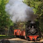 Waldbahn IV; Kreuzugsbahnhof