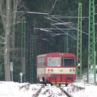 "Waldbahn mit Einkehrschwung"