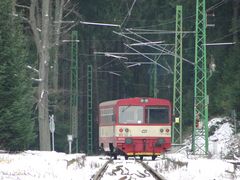 "Waldbahn mit Einkehrschwung"