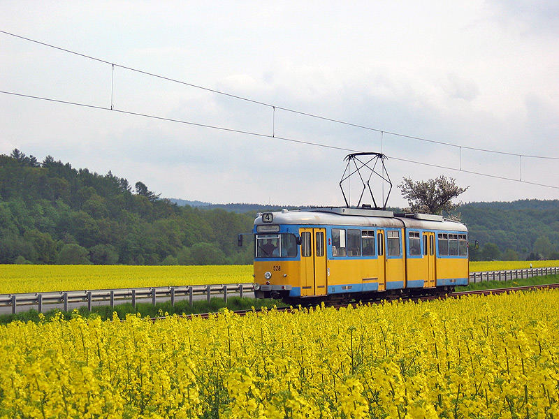 Waldbahn vs. Feldbahn