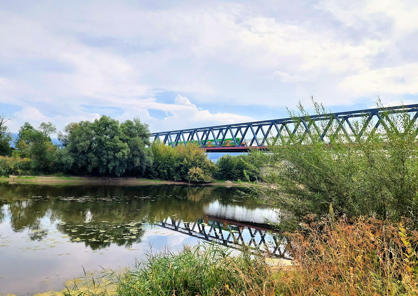 Waldbahn_Spiegelung