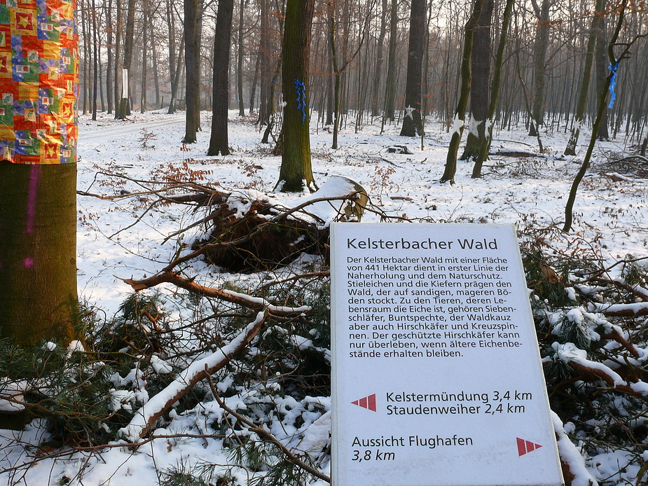 Waldbeerdigung