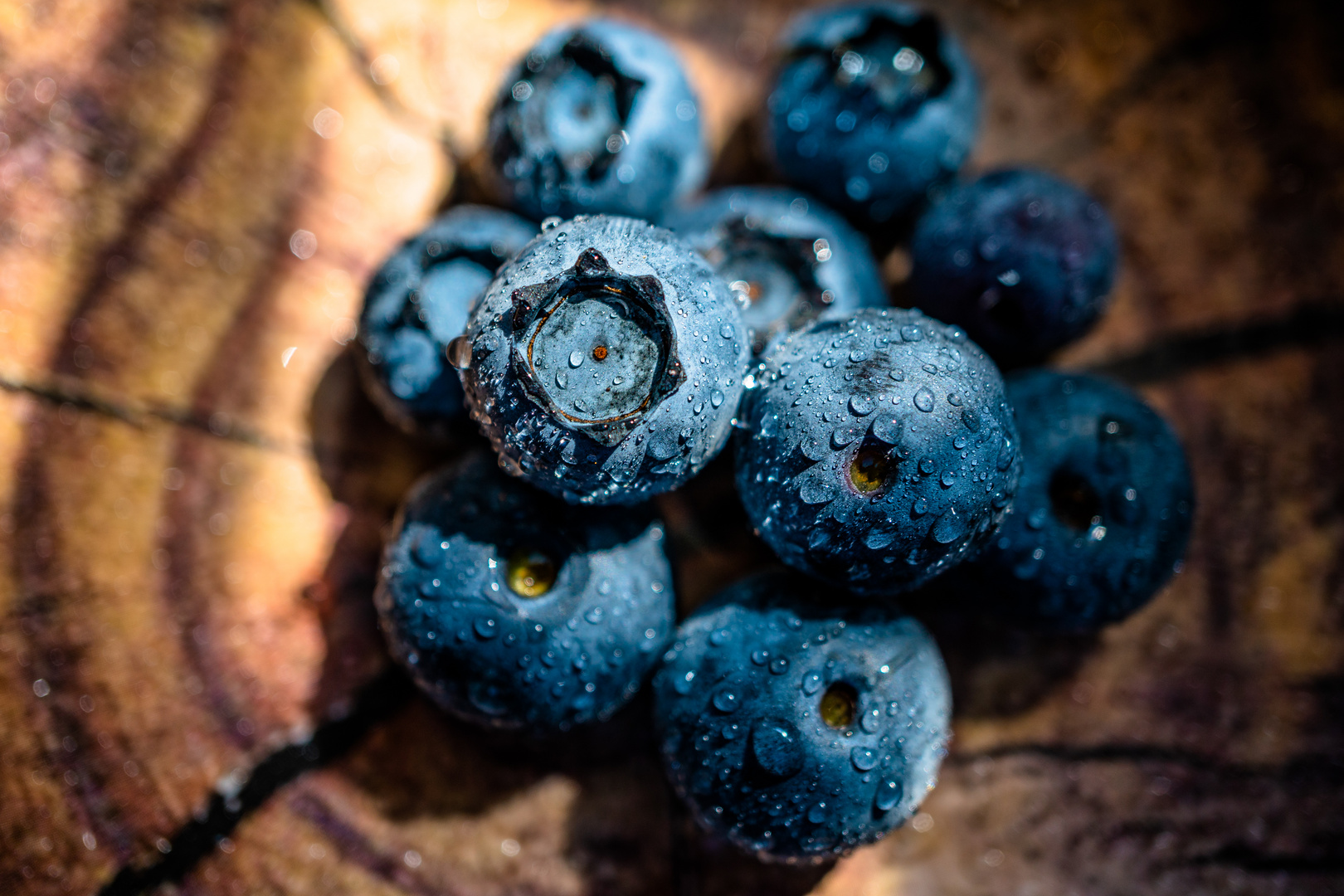 Waldbeeren Foto &amp; Bild | jahreszeiten, sommer, fotos Bilder auf ...