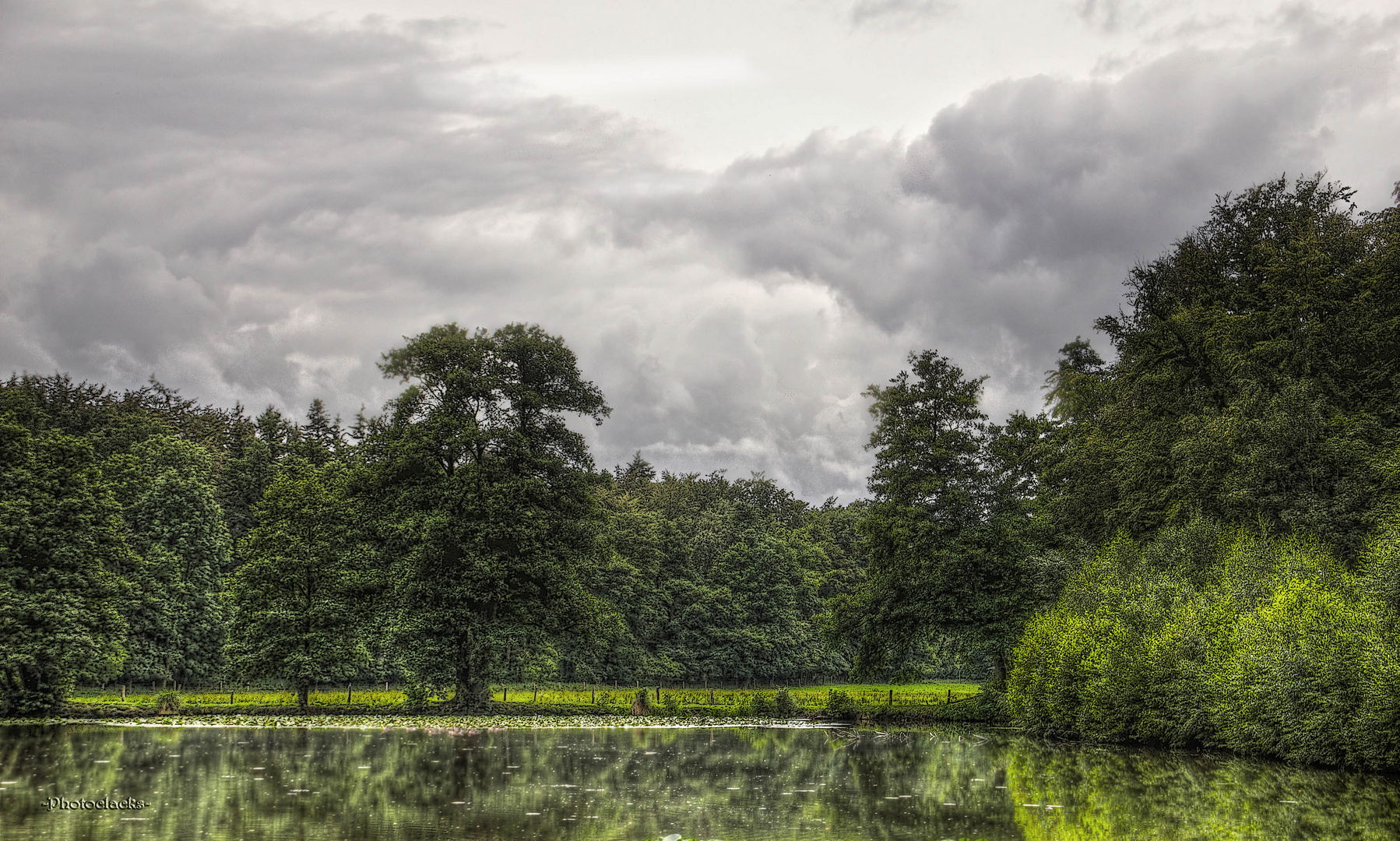 Wald(be)lichtung