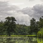 Wald(be)lichtung