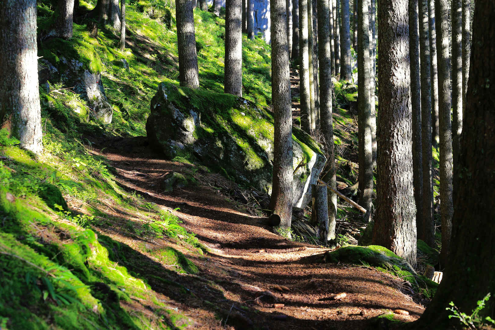 Waldberg Waldberg