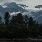 Wald,Berge, Nebel      DSC_0764-2