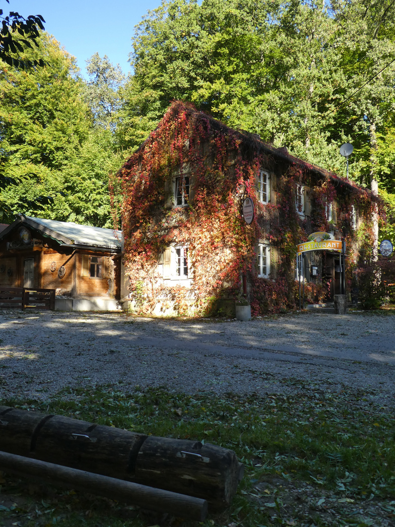 Waldbiergarten im Herbst