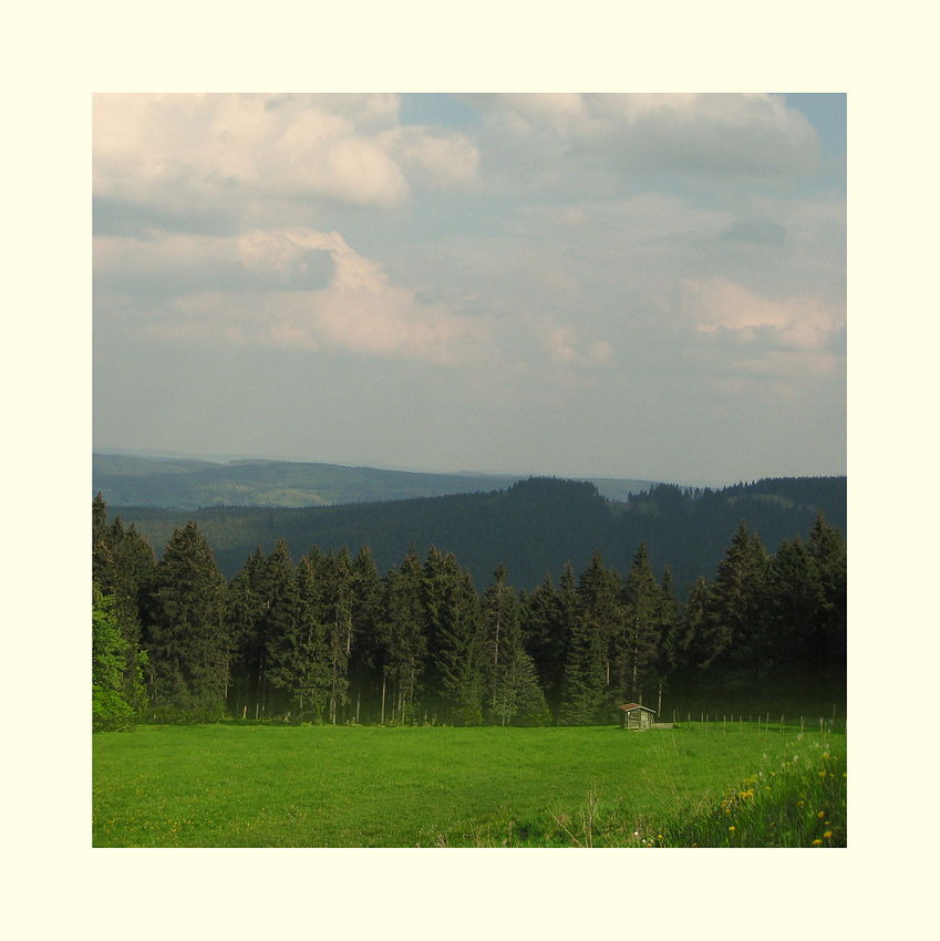 --- waldblick  ---