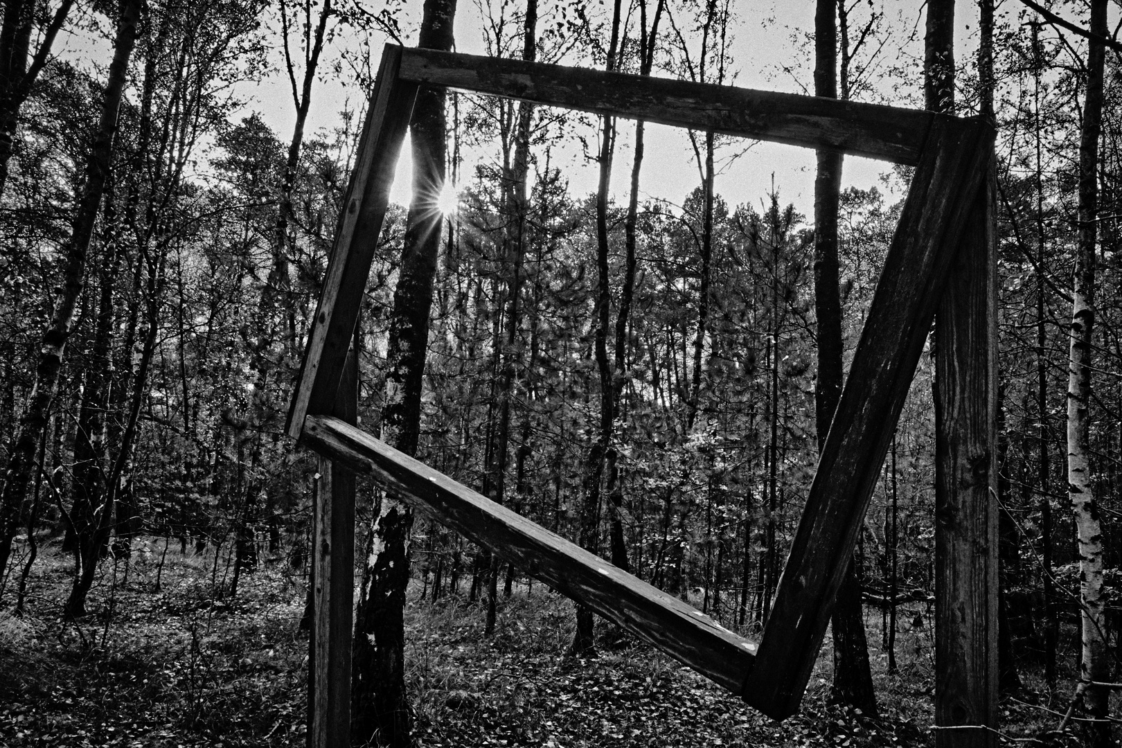 Waldblick @ Wernerwald, Nordsee.