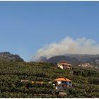 Waldbrände auf Madeira