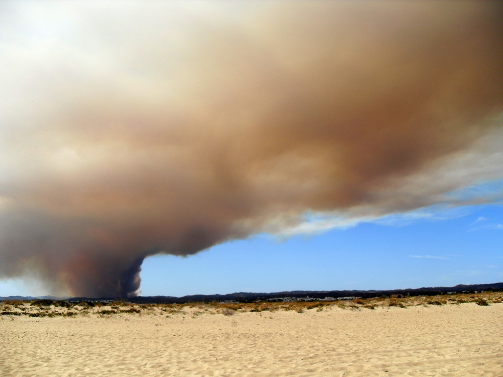 Waldbrand