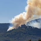 Waldbrand am Hambacher Schloss (1 von 3)