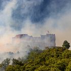 Waldbrand am Hambacher Schloss (3 von 3)