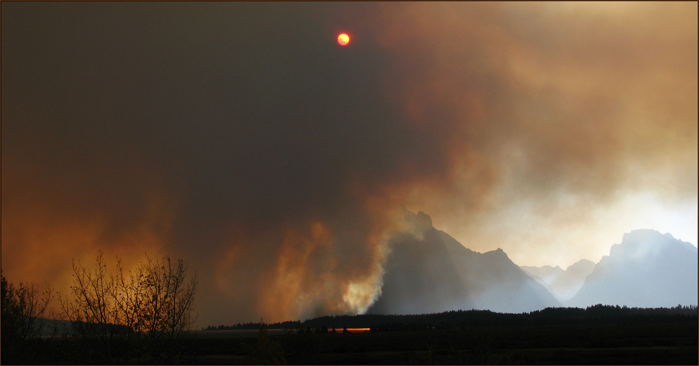 Waldbrand am Jenny Lake ...