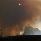 Waldbrand am Jenny Lake ...